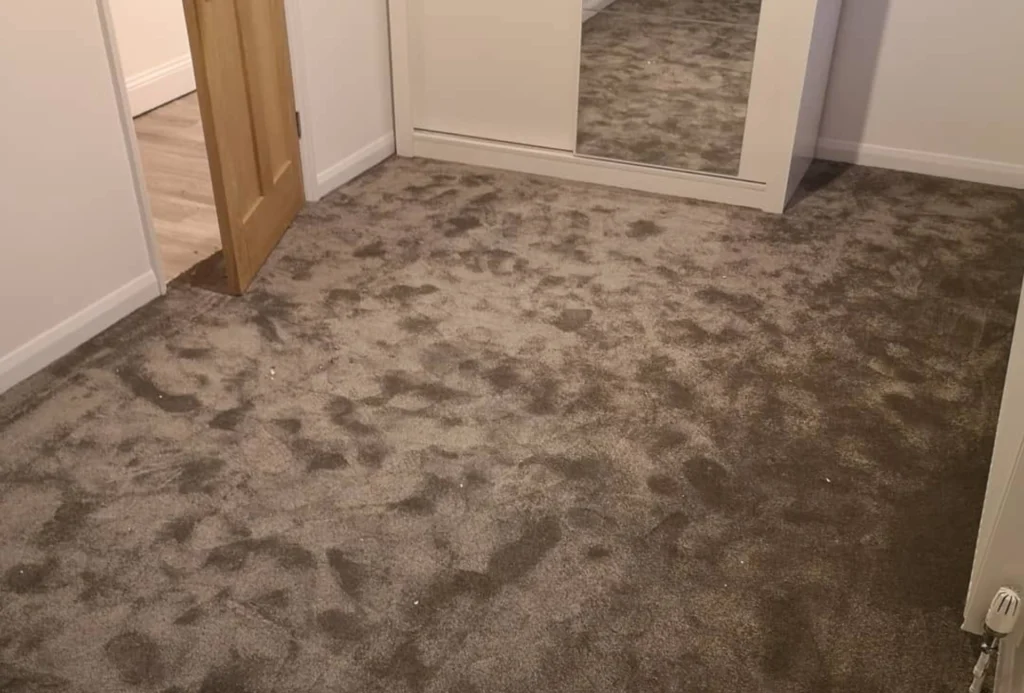Brandon's Flooring - Professional Carpet Fitting Services in Royston